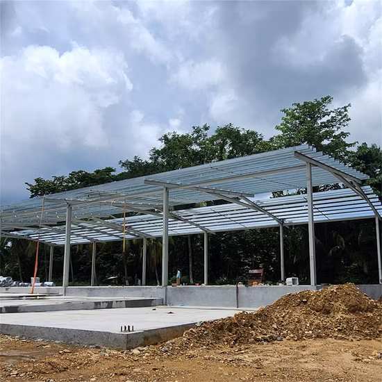 Hangar de ferme préfabriqué à structure métallique Hangar de stockage de foin Abri Farm House